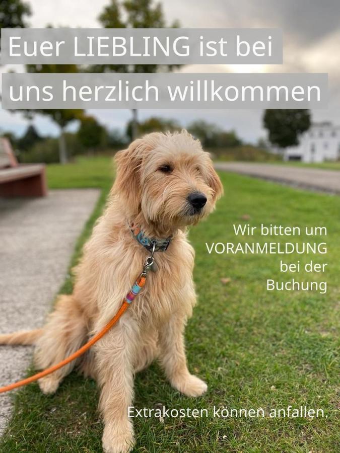 Fewo Timon Grosszuegig Modern Mit Terrasse Ca 50 Qm Hamm  Bagian luar foto
